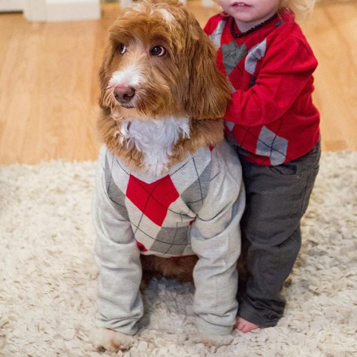 Один из самых милых Инстаграмов: бабушка одевает своего внука и собаку в одинаковую одежду