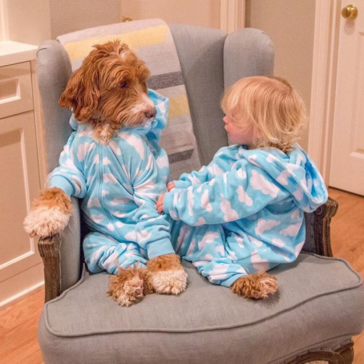 Один из самых милых Инстаграмов: бабушка одевает своего внука и собаку в одинаковую одежду