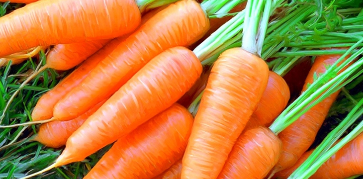 Удивительная морковь - лидер вашей диеты