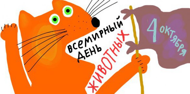 Праздник в честь Дня защиты животных пройдет в Музее естественной истории Татарстана