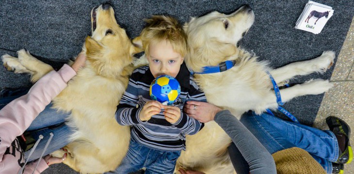 В Дербышкинском детдоме ДЦП лечат при помощи собак