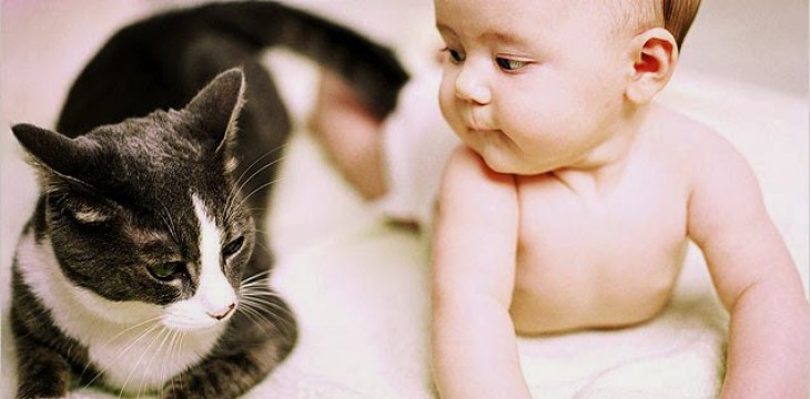 Можно ли держать кошку, когда в доме новорожденный