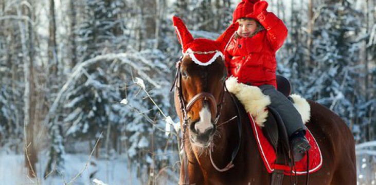 Детей и родителей приглашают на фотосессию с лошадьми