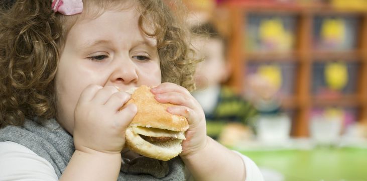 Каждый пятый ребенок в РФ страдает ожирением разной степени
