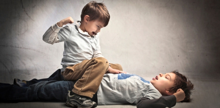 Дети в доме: ссоры и драки. Что делать?